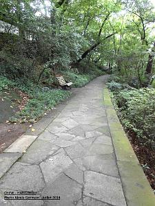 Alexia-Hangzhou 044